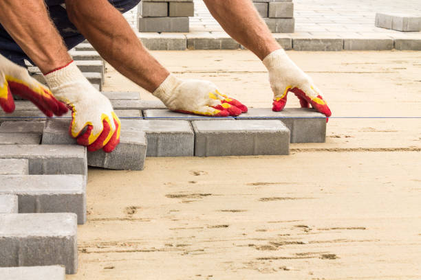 Best Best Driveway Pavers  in Appleton, MN