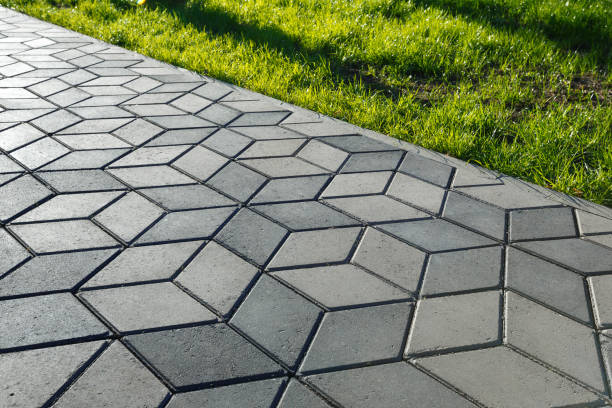 Best Driveway Pavers for Homes  in Appleton, MN