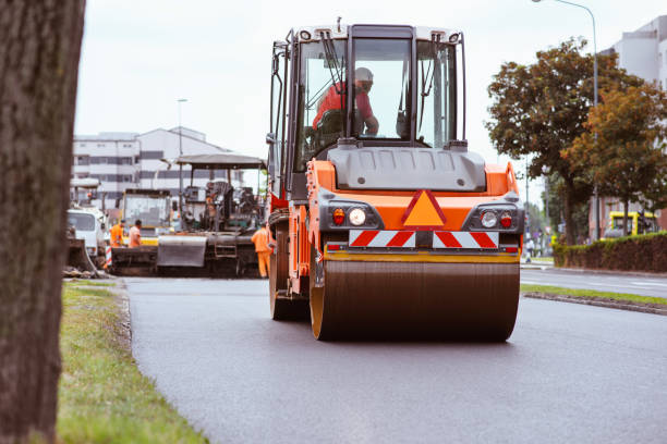 Best Residential Driveway Paver Services  in Appleton, MN