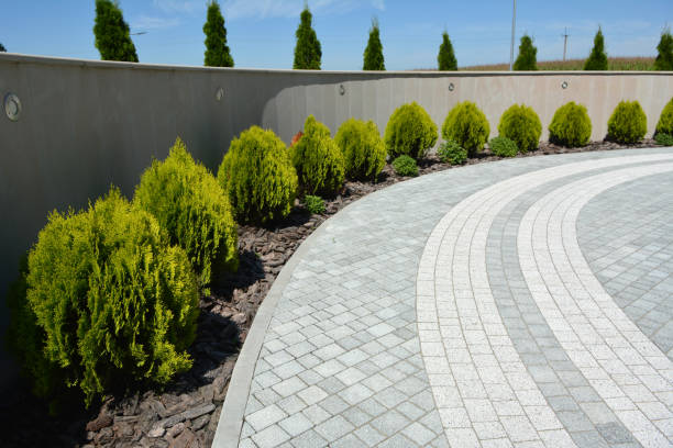 Best Affordable Driveway Pavers  in Appleton, MN