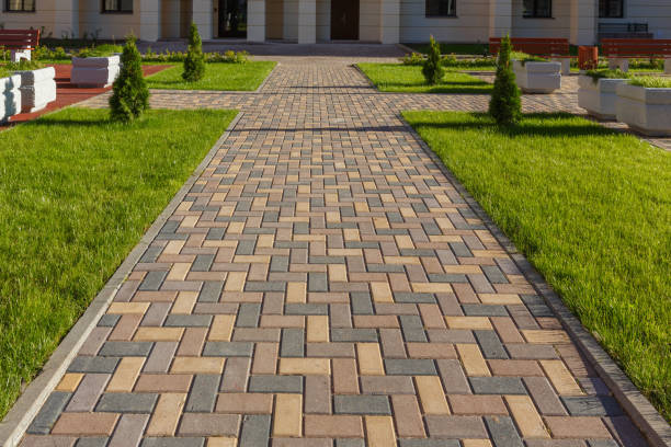 Best Residential Paver Driveway  in Appleton, MN